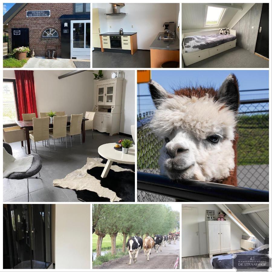 Herberg Boerderij De Straat-Hof Leimuiden Exterior foto