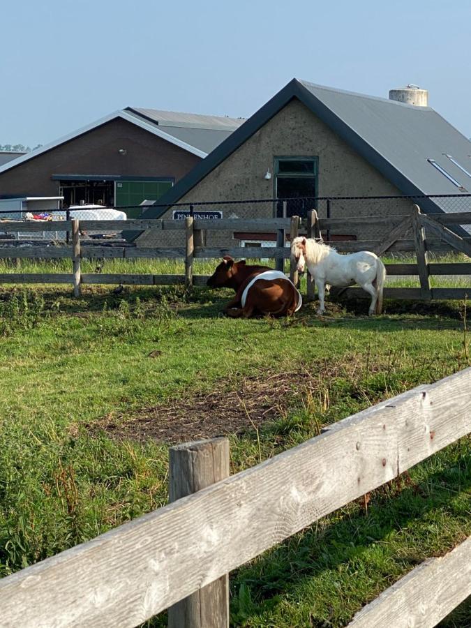 Herberg Boerderij De Straat-Hof Leimuiden Exterior foto