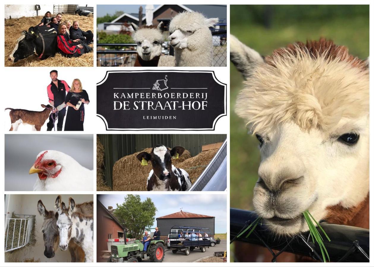 Herberg Boerderij De Straat-Hof Leimuiden Exterior foto