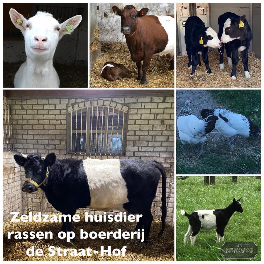 Herberg Boerderij De Straat-Hof Leimuiden Exterior foto