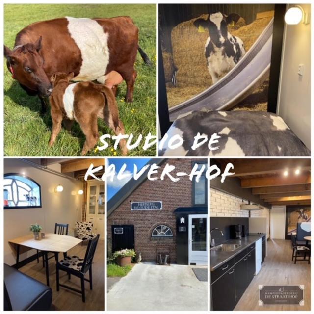 Herberg Boerderij De Straat-Hof Leimuiden Exterior foto